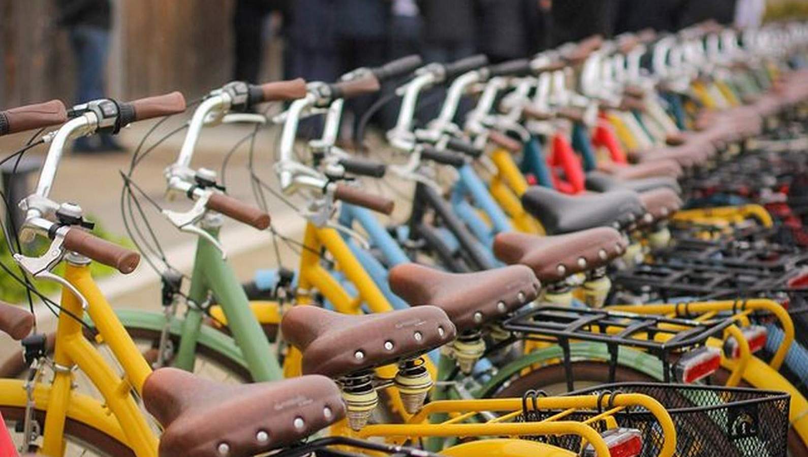 Rallye Vélo / Vélo Électrique
