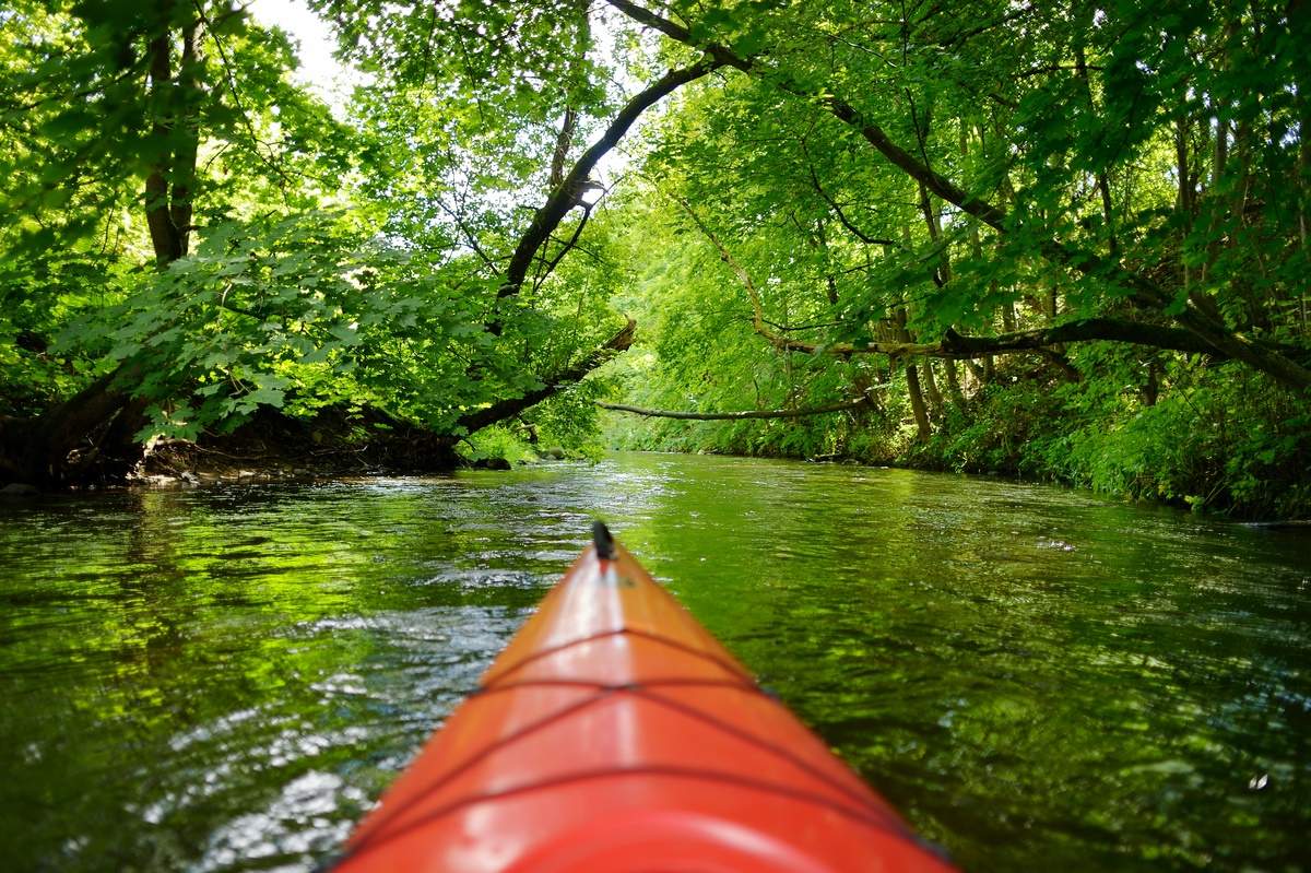Activité Canoë Kayak
