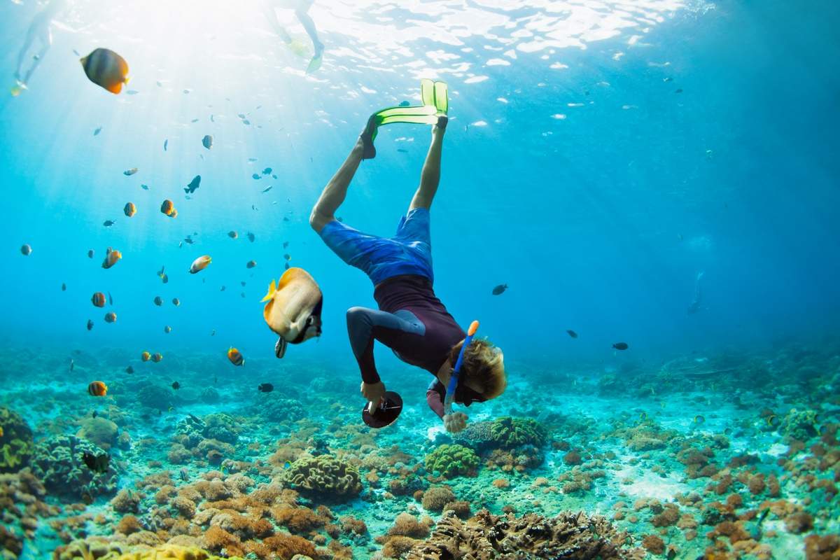 Activité snorkeling