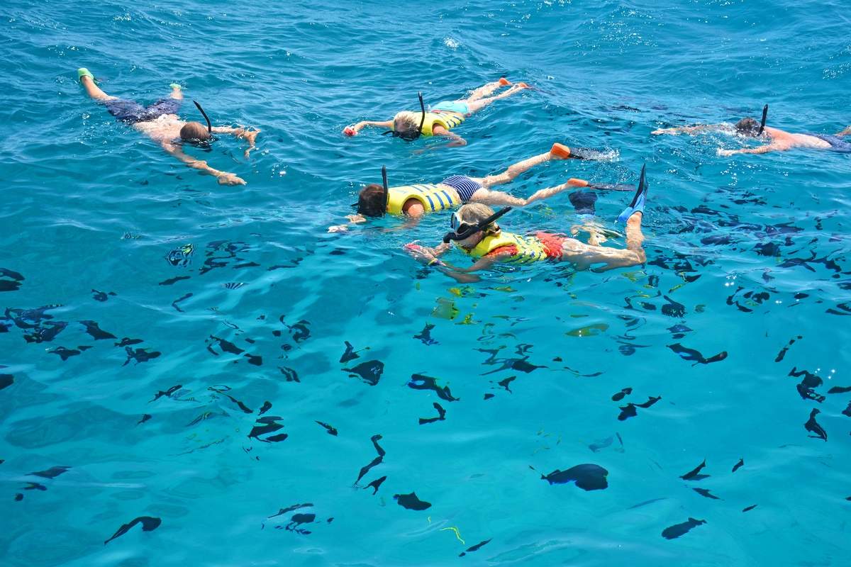 Activité snorkeling