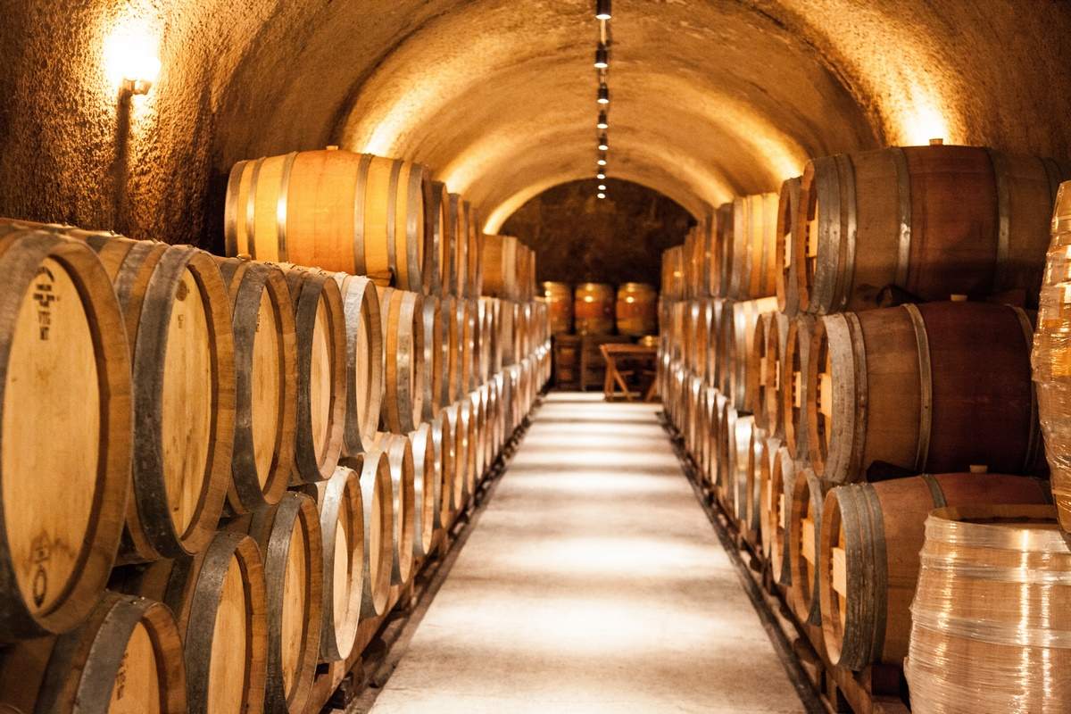 Make your wine