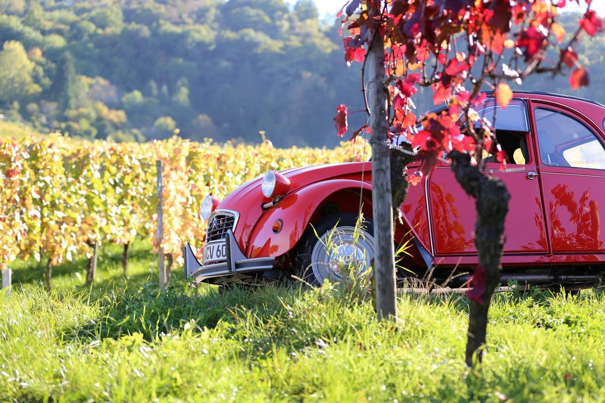 Rallye 2CV