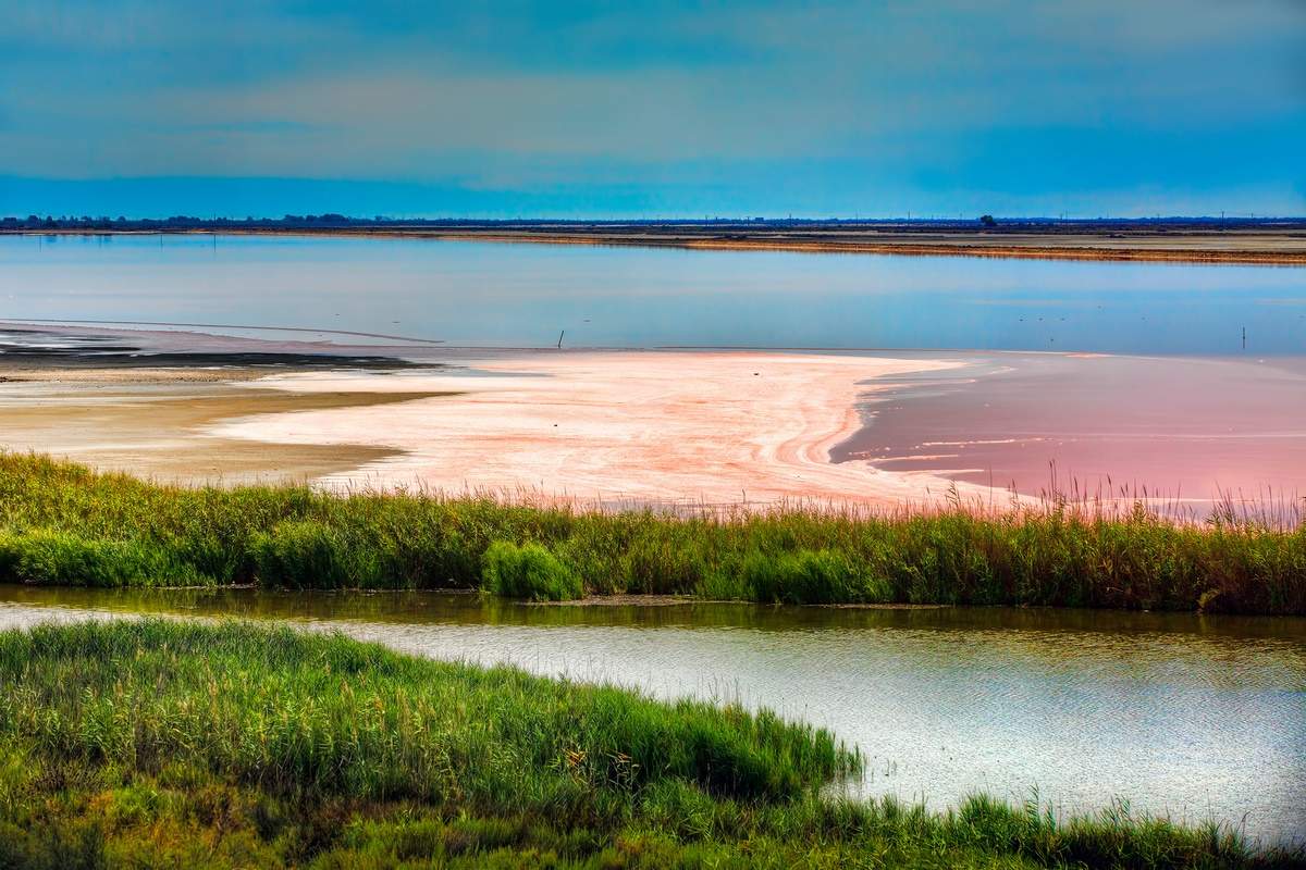 Séminaire en Camargue